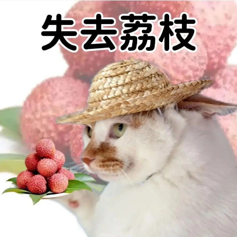 ASDZXC: 