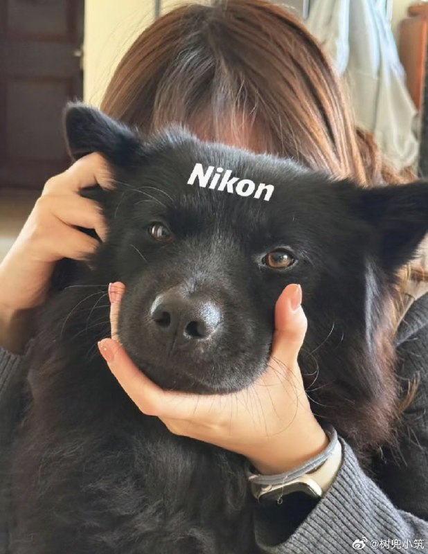 ASDZXC: 