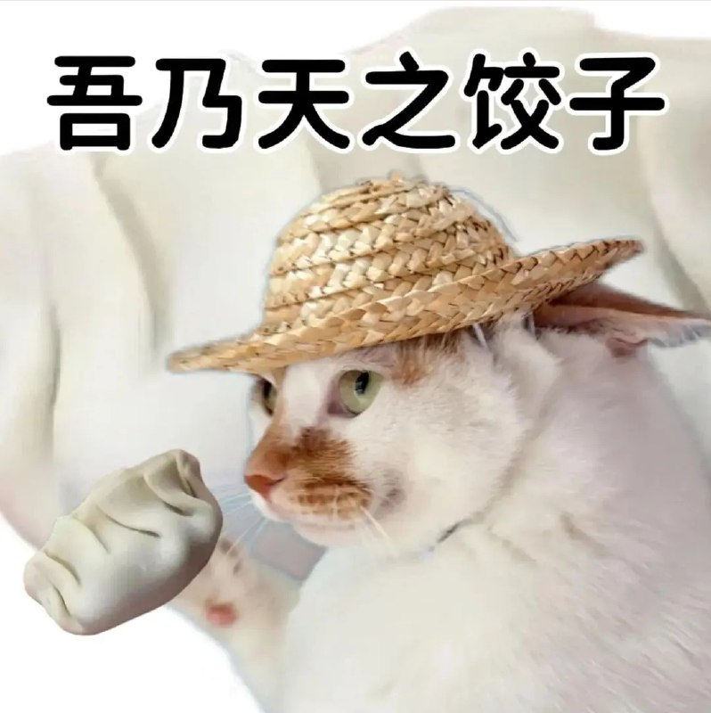 ASDZXC: 