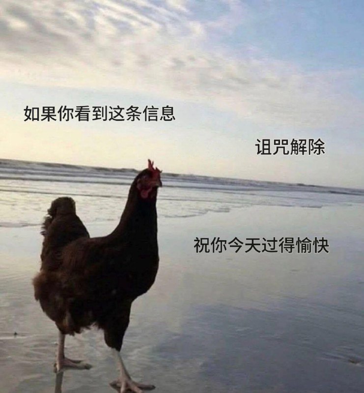 HeHeDa: 