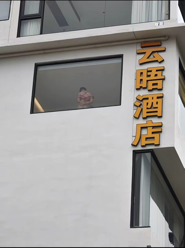 无可奉告: 