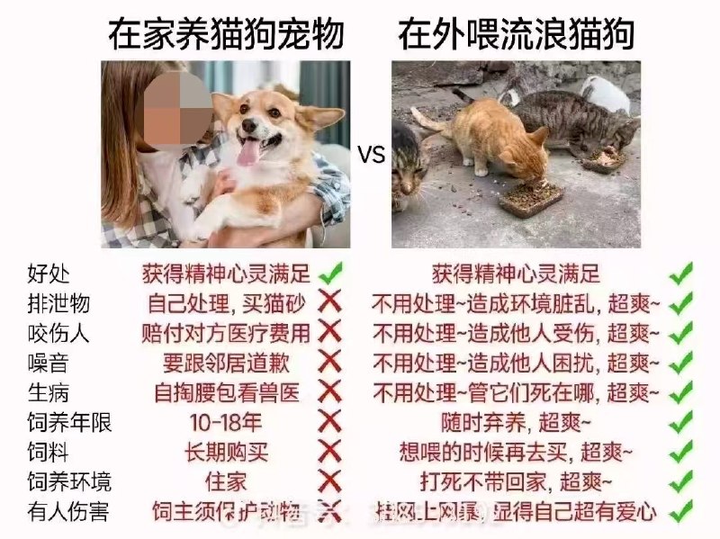 周面包: 