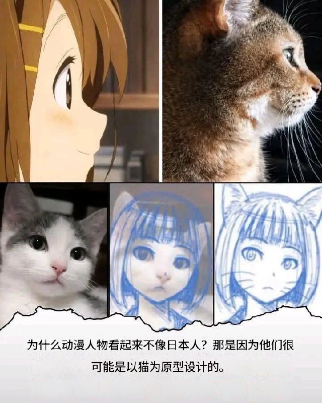 HeHeDa: jandan.net/t/6129338OO: 128 XX: 21幻影: 懂了，二次元就是一大号的福瑞控OO: 28, XX: 0蛋友24cafb2b2cc0: 人类感觉猫可爱一个原因是其五官长得像婴儿OO: 21, XX: 4wheatup: 蛋友24cafb2b2cc0 不可能，人类幼崽没有猫一半可爱OO: 11, XX: 1