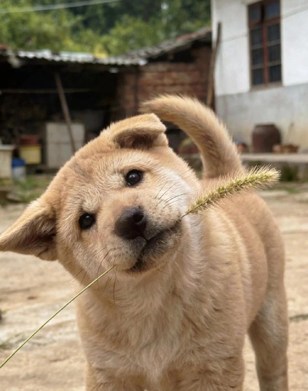 骸客地瓜: jandan.net/t/6126035OO: 140 XX: 0