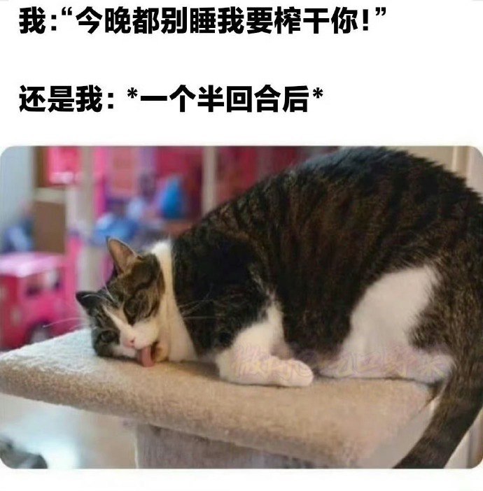 杯面骑士: 