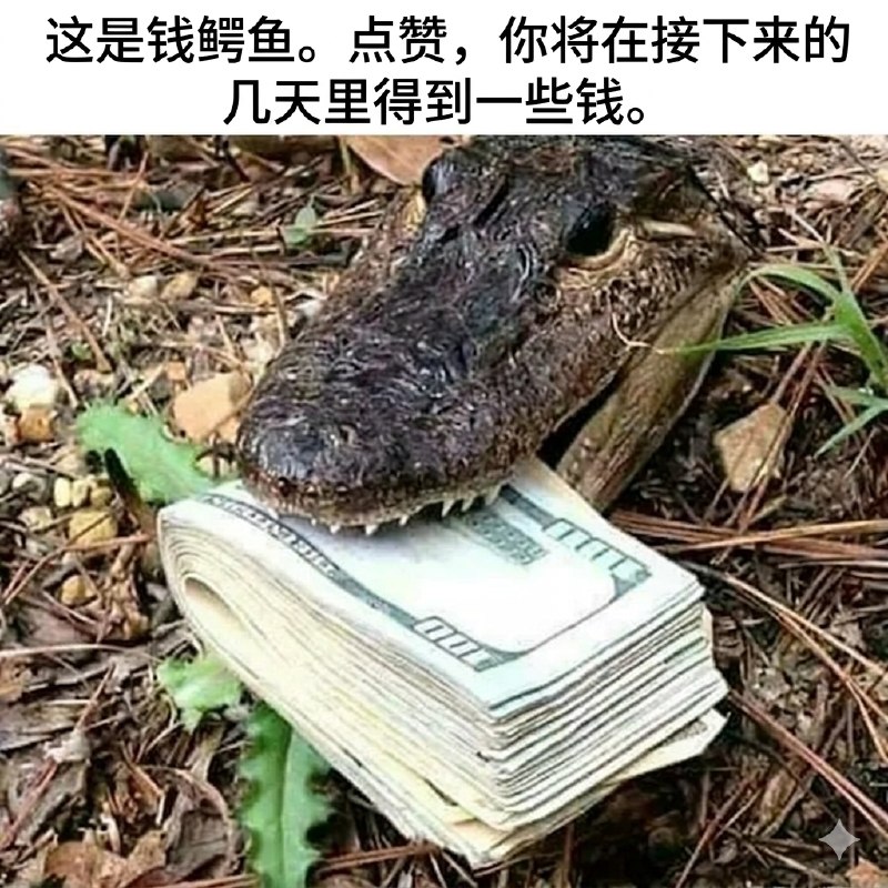 万寿无疆: 