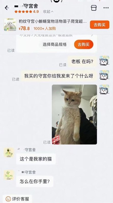 珠江社畜: 