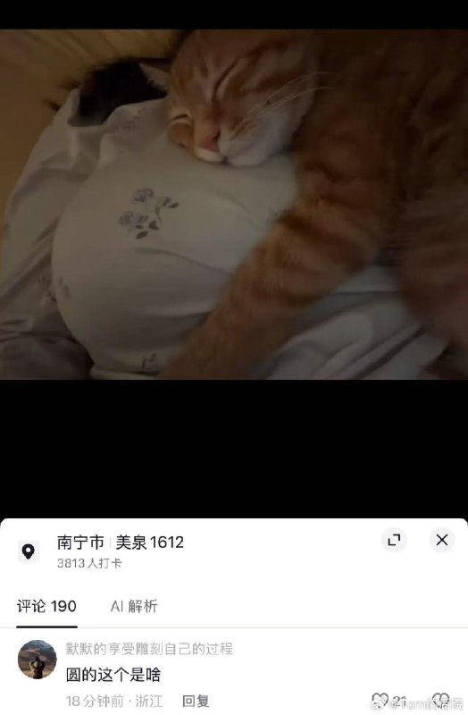 杯面骑士: jandan.net/t/6140397OO: 135 XX: 3蛋友24cbe9bb9d22: 你没见过的东西呀OO: 36, XX: 0