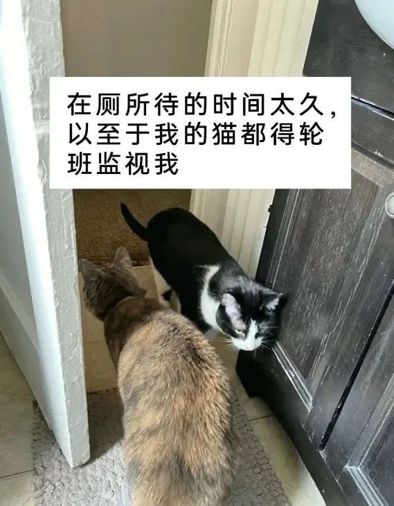 种田能手: 