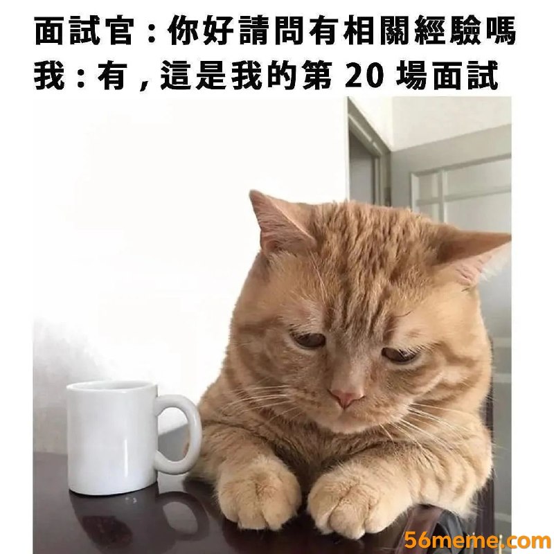 Jojo123: jandan.net/t/6128999OO: 109 XX: 2af1aa: 恭喜你，欢迎入职我们人事部OO: 16, XX: 0