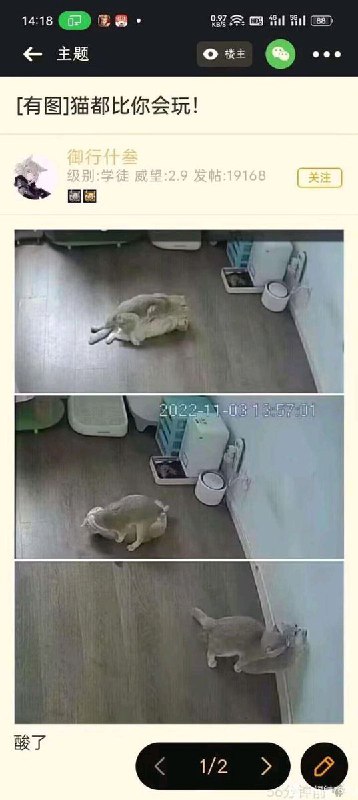 HeHeDa: 
