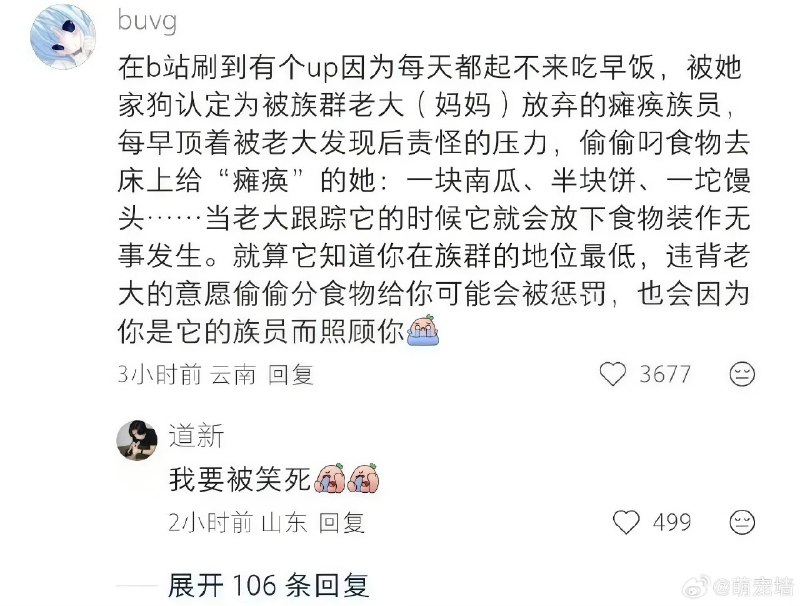 YoRHa15: jandan.net/t/6130881OO: 174 XX: 20债务人波切: 号叫“海狗一条”，还挺有意思的OO: 44, XX: 1