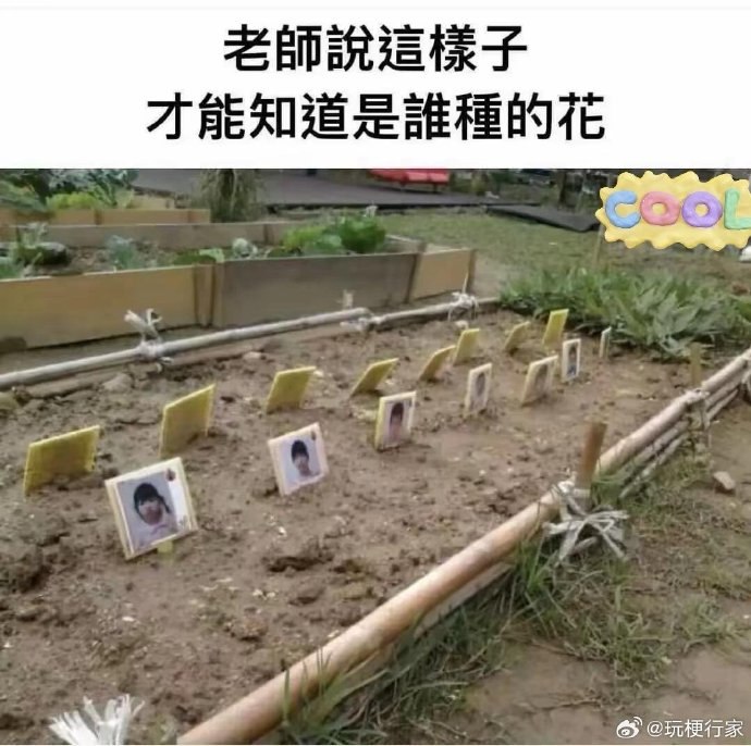 raining: jandan.net/t/6127717OO: 134 XX: 4没有啊: 那么肥料是天然的还是人工的OO: 26, XX: 0