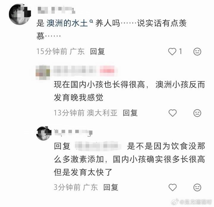 浮华暂借问: 
