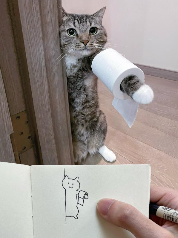 HeHeDa: jandan.net/t/6129859OO: 188 XX: 7子不语: 四蹄踏雪 还很乖OO: 13, XX: 0