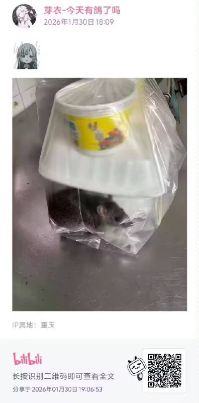 制式仪刀: 