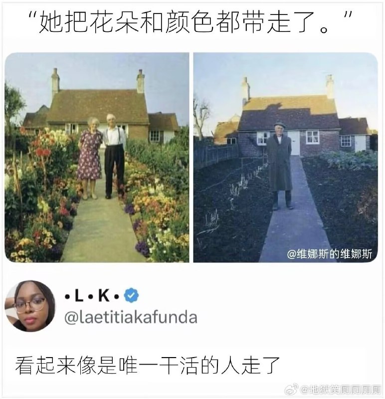 杯面骑士: 