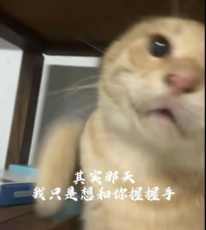 制式仪刀: 