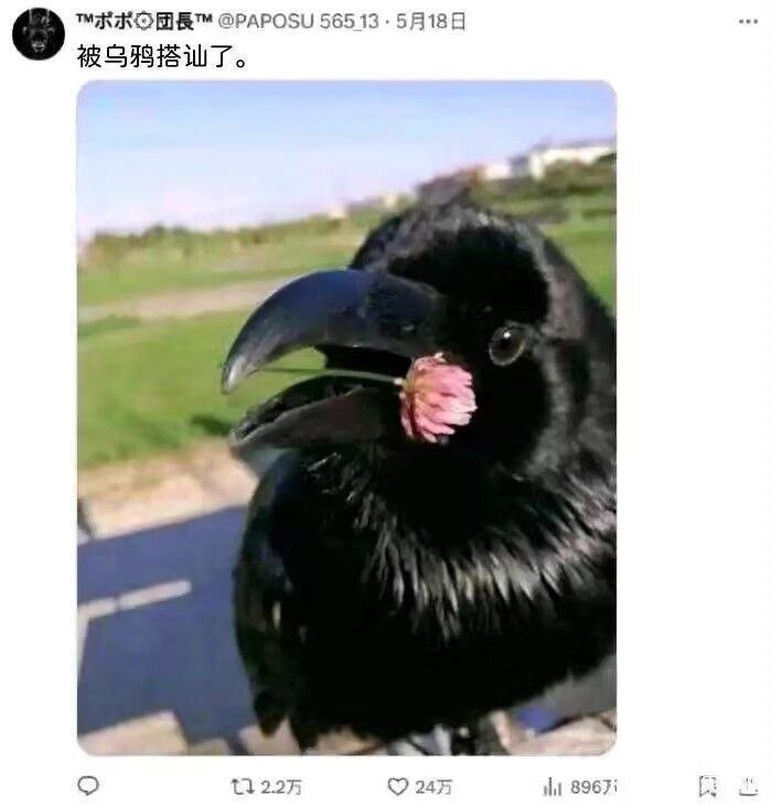 种田能手: 