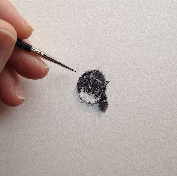 miao77: 