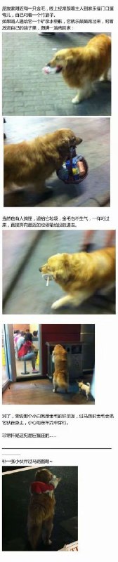 令狐净: 