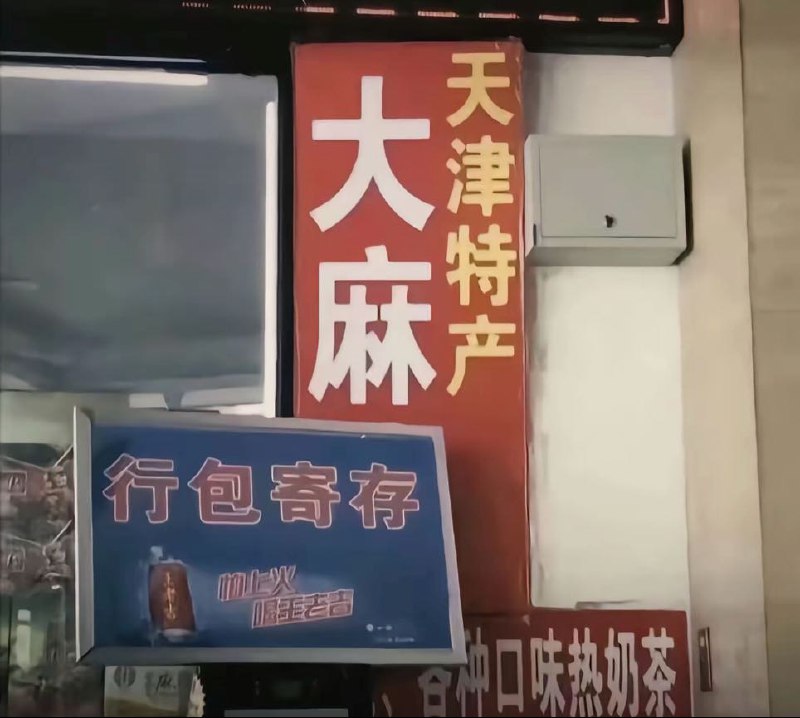 鸡掰猫猫: 