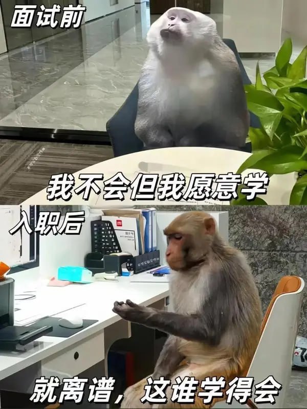 种田能手: 