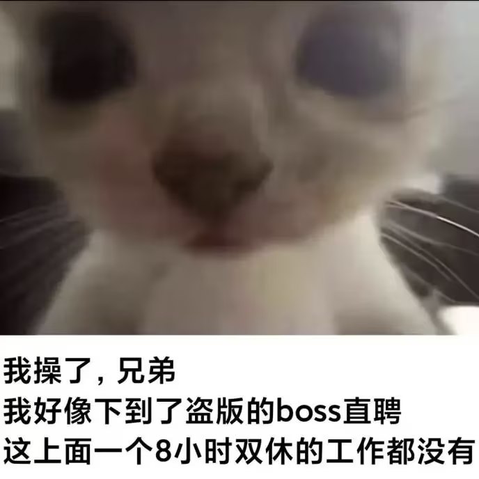 HeHeDa: jandan.net/t/6140106OO: 197 XX: 0蛋友e61f315ca9d10: 这就是正版的OO: 51, XX: 0蛋友16fe92566c896: 找错地方了，得去机关单位的招聘公告里找OO: 18, XX: 0Jw: 双休的好工作不会出现在流动平台上OO: 14, XX: 0