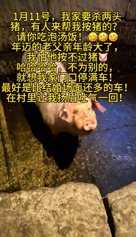 Q_Z: 