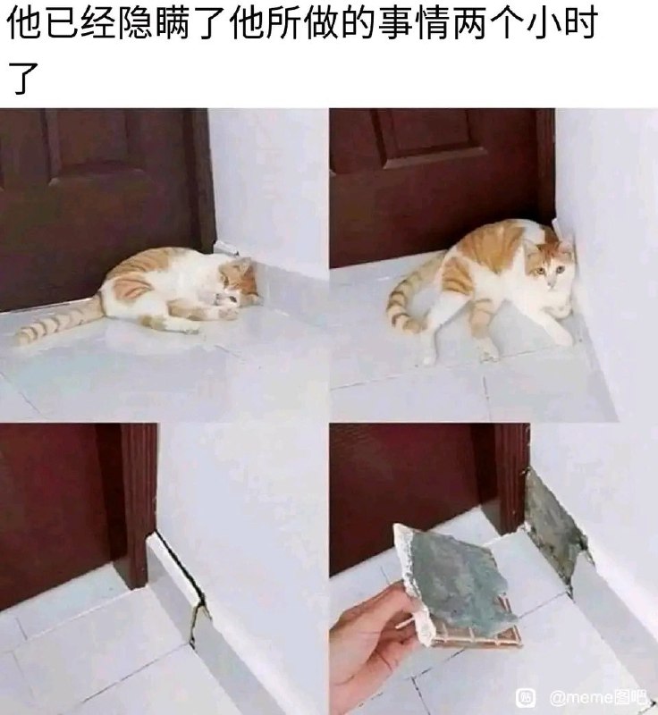 HeHeDa: 