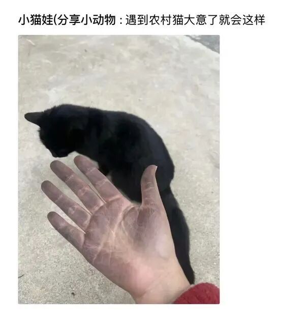 沐灶金: 