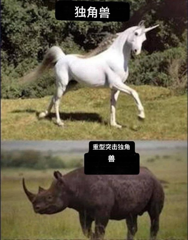 HeHeDa: 