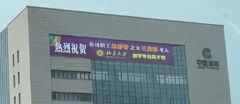 坏坏兔: 