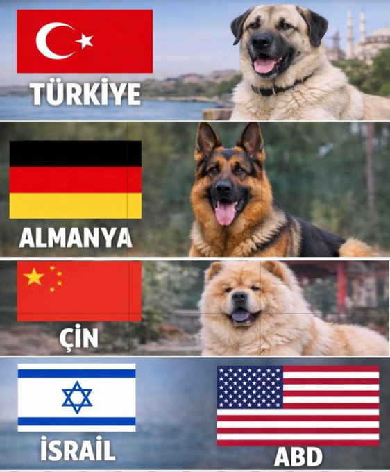 xqxq: 