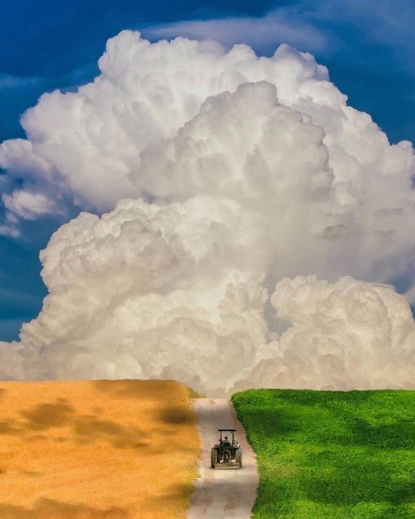 axiomxx: jandan.net/t/6126738OO: 126 XX: 1