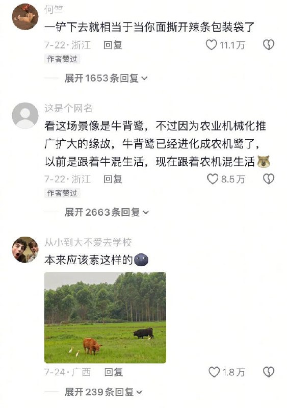 种田能手: 
