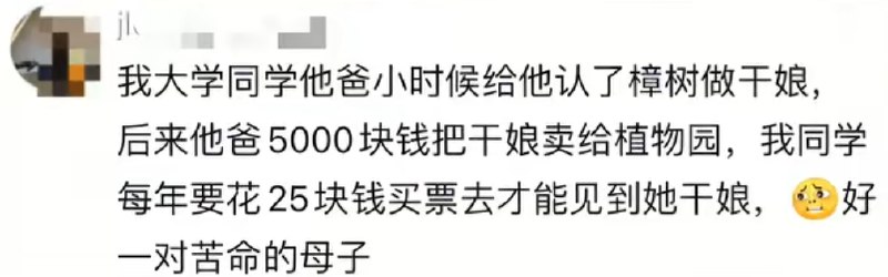 隐海荆棘娘: 