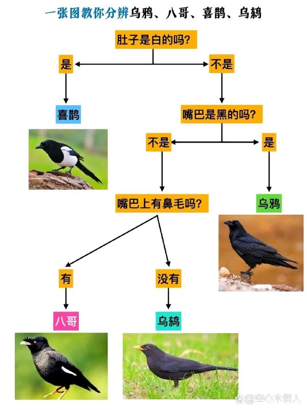 草莓红烧肉: jandan.net/t/6126231OO: 189 XX: 6简单繁琐: 抽烟没是渡鸦OO: 61, XX: 0首席战棋师: 嘴上有鼻毛可还行哈哈哈～耳朵上有眼屎吗？有➡️鹩哥OO: 22, XX: 0