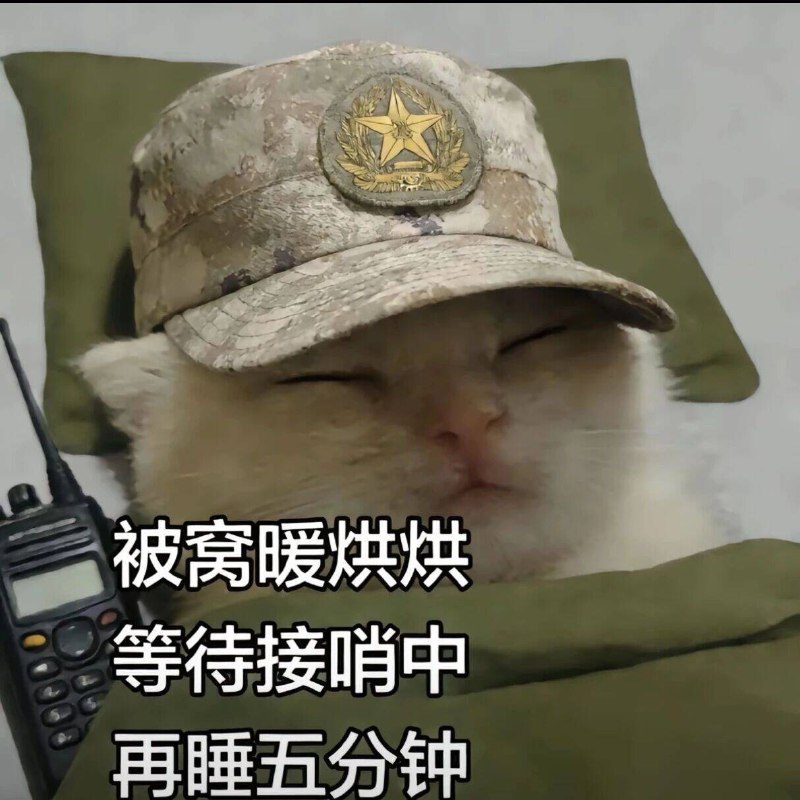 杯面骑士: 