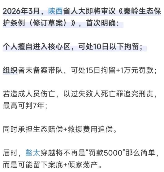 制式仪刀: 